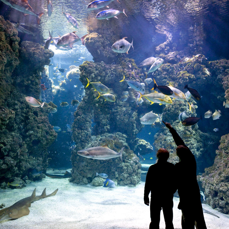 Musée Océanographique De Monaco