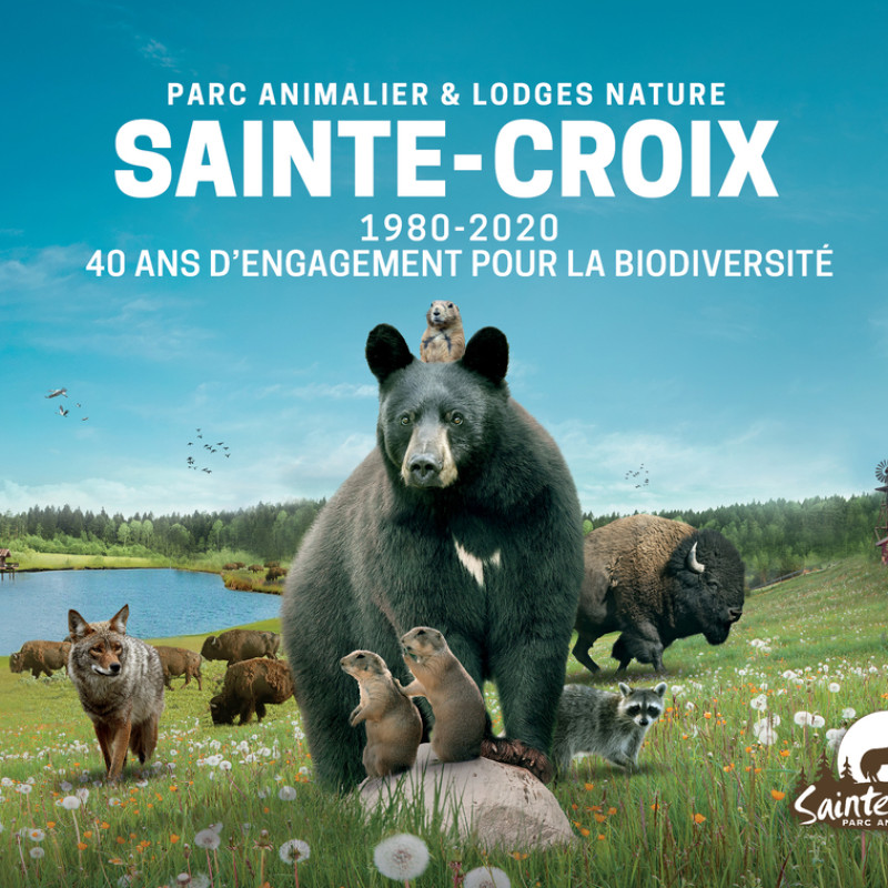 Parc Sainte Croix