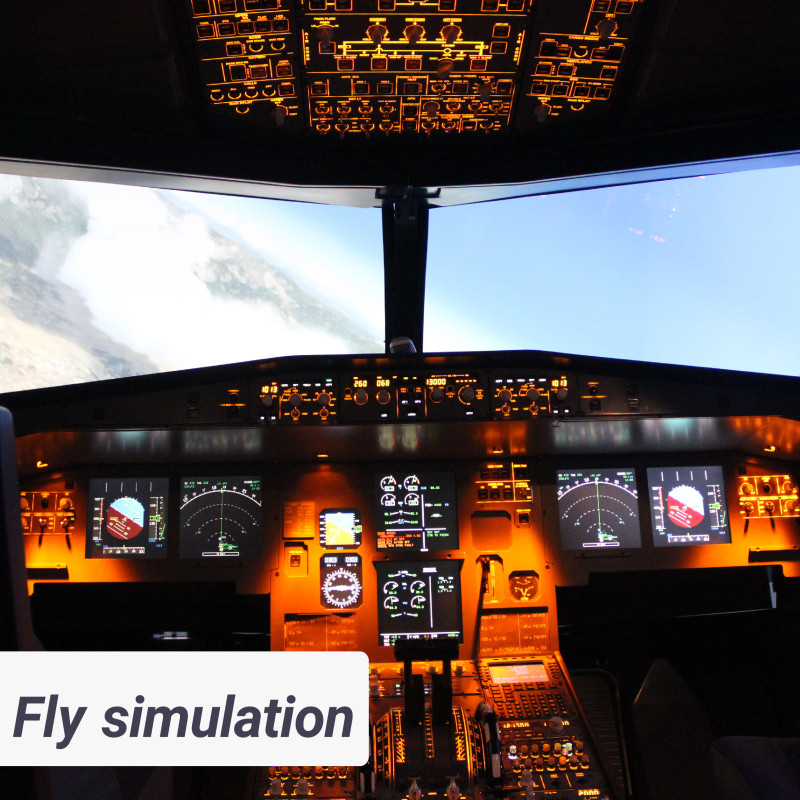 Fly Simulation