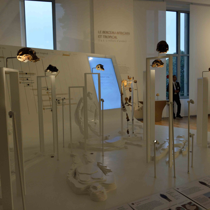 Musée de l'Homme