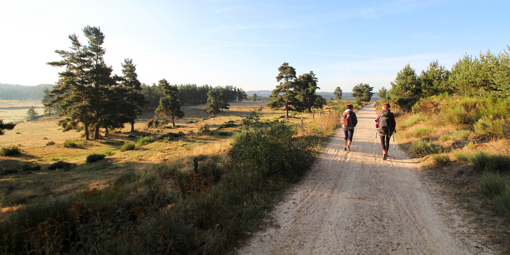 Bon voyage sur les chemins