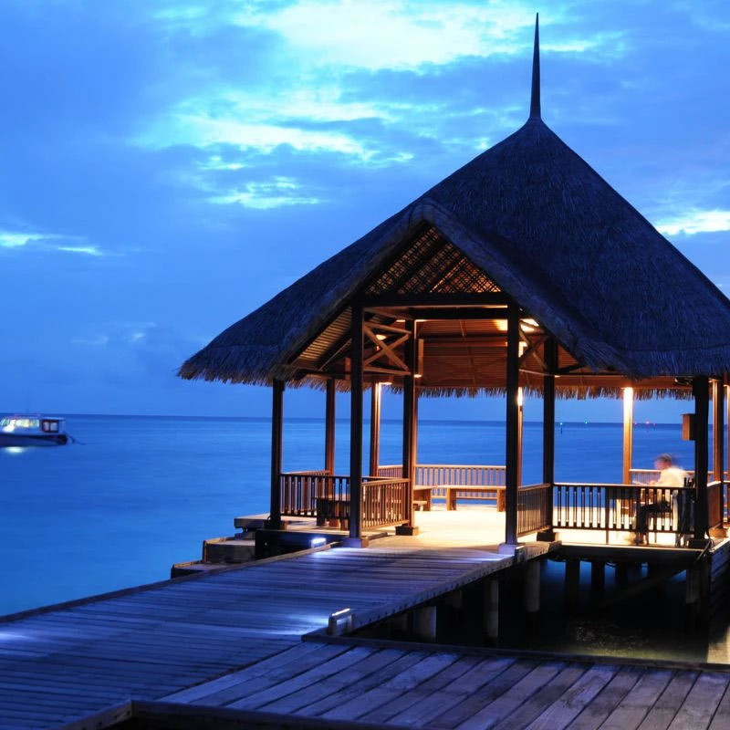 Au plus vrai des vacances !