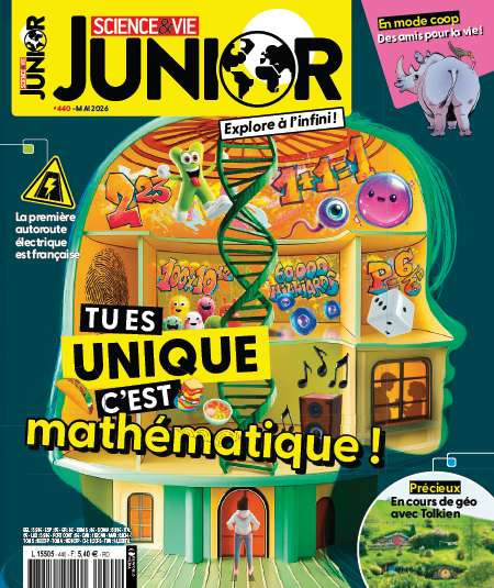 SCIENCE ET VIE JUNIOR 