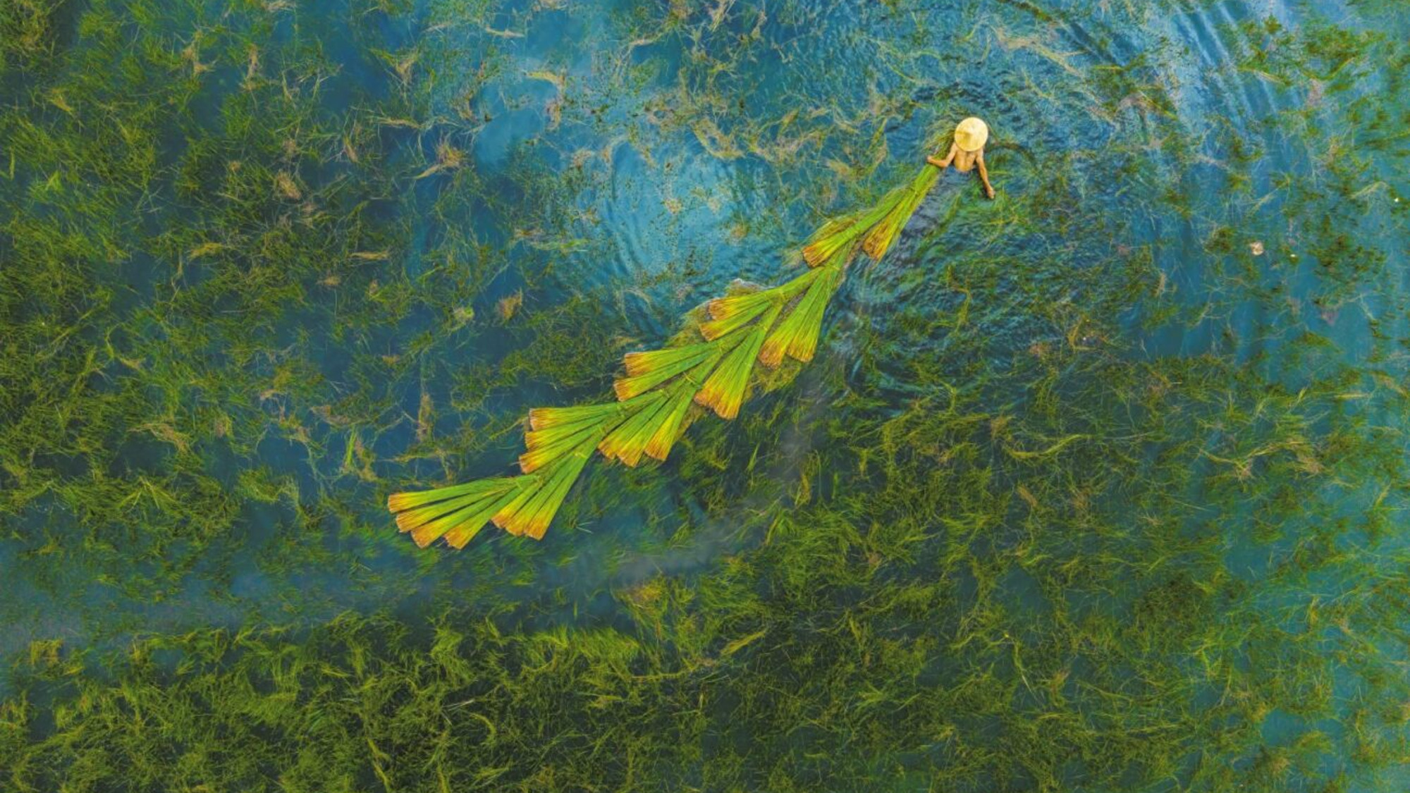 Croisières 2026 : Au fil du Mékong