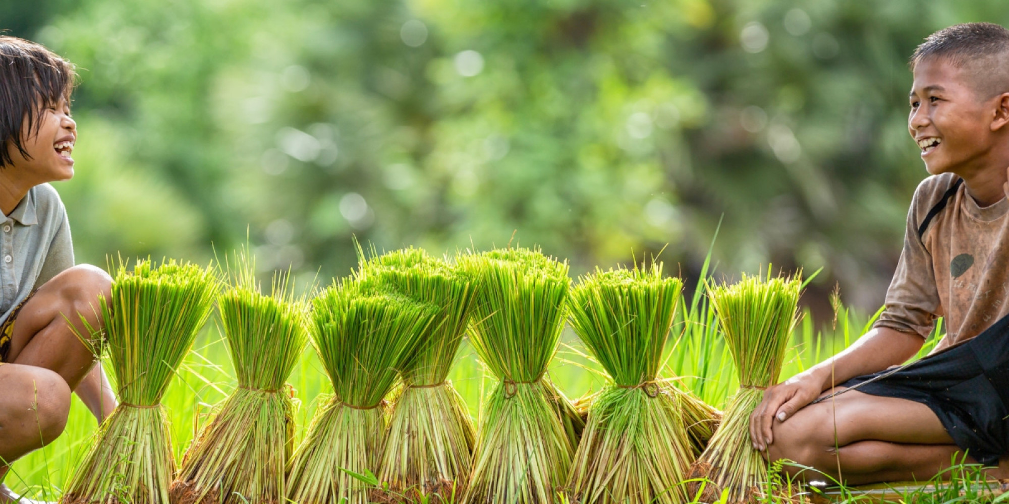 Des voyages à votre image