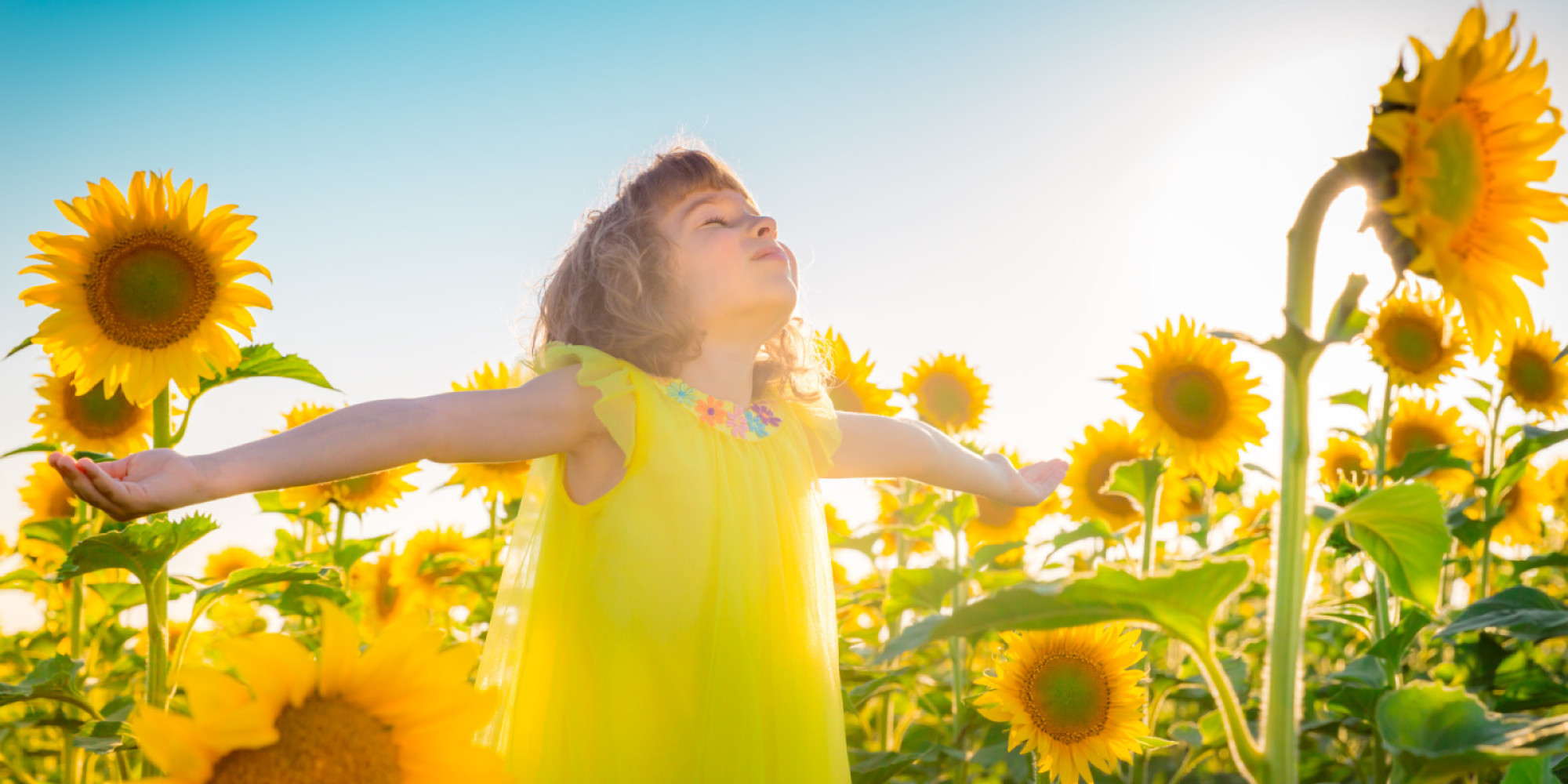 Des résidences à prix exclusifs