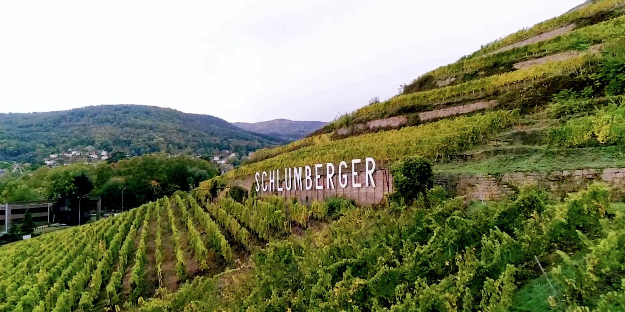 L'Excellence des Grands Crus d'Alsace