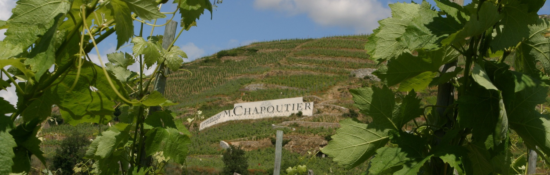 L'univers des vins d'exception