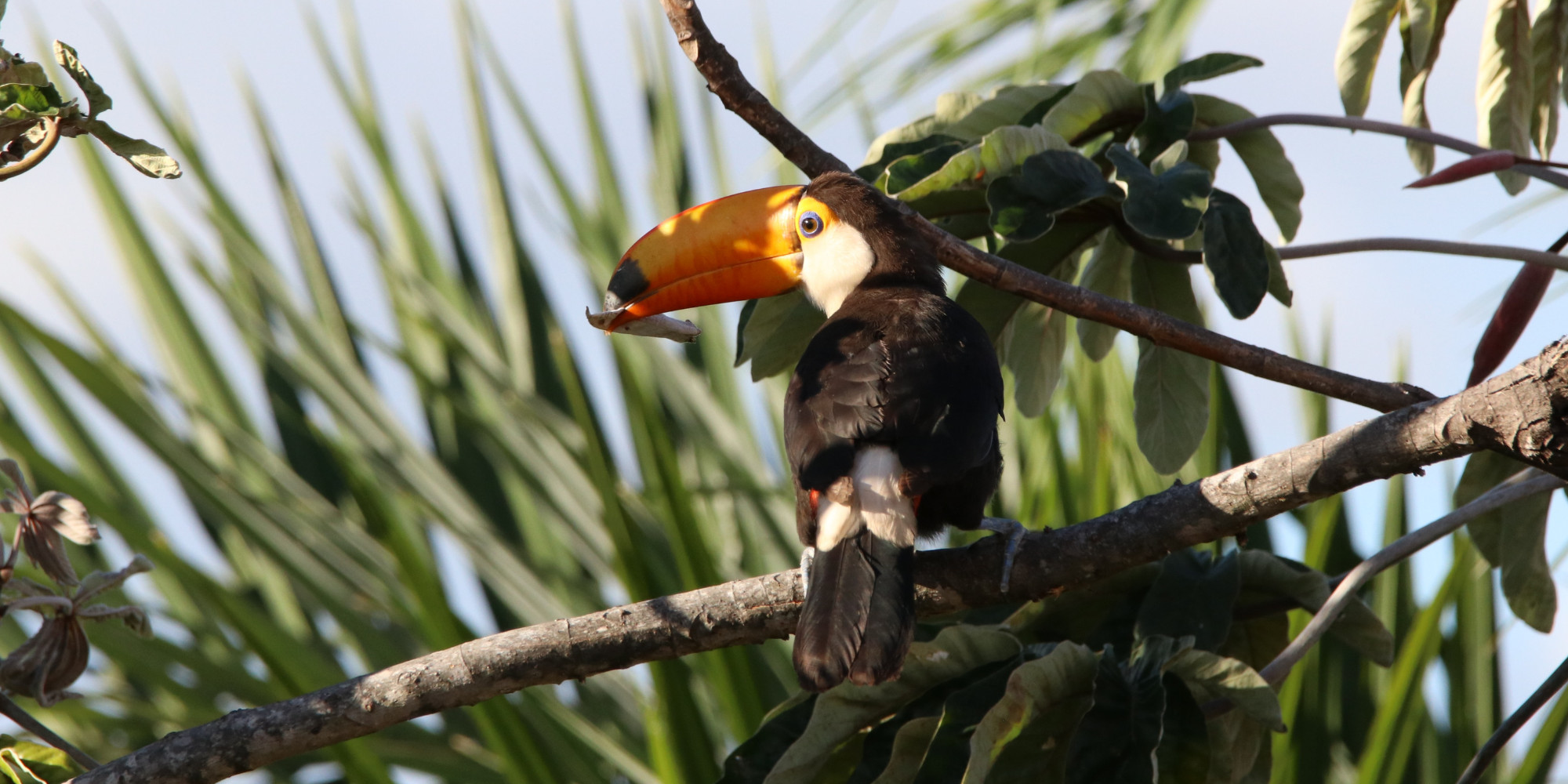 Des voyages uniques et sur-mesure