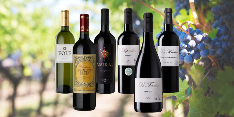 Coffret DÉCOUVERTE 18 bouteilles